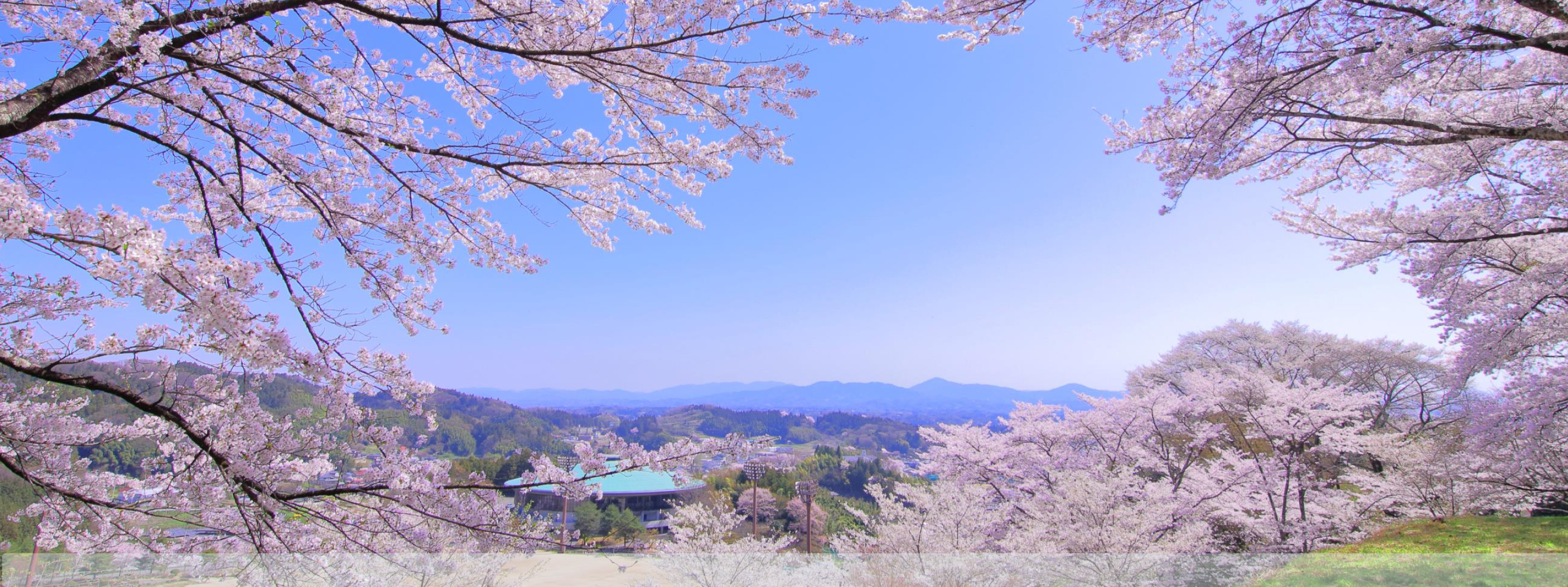 働きやすい環境つくりと地域社会への貢献を目指して