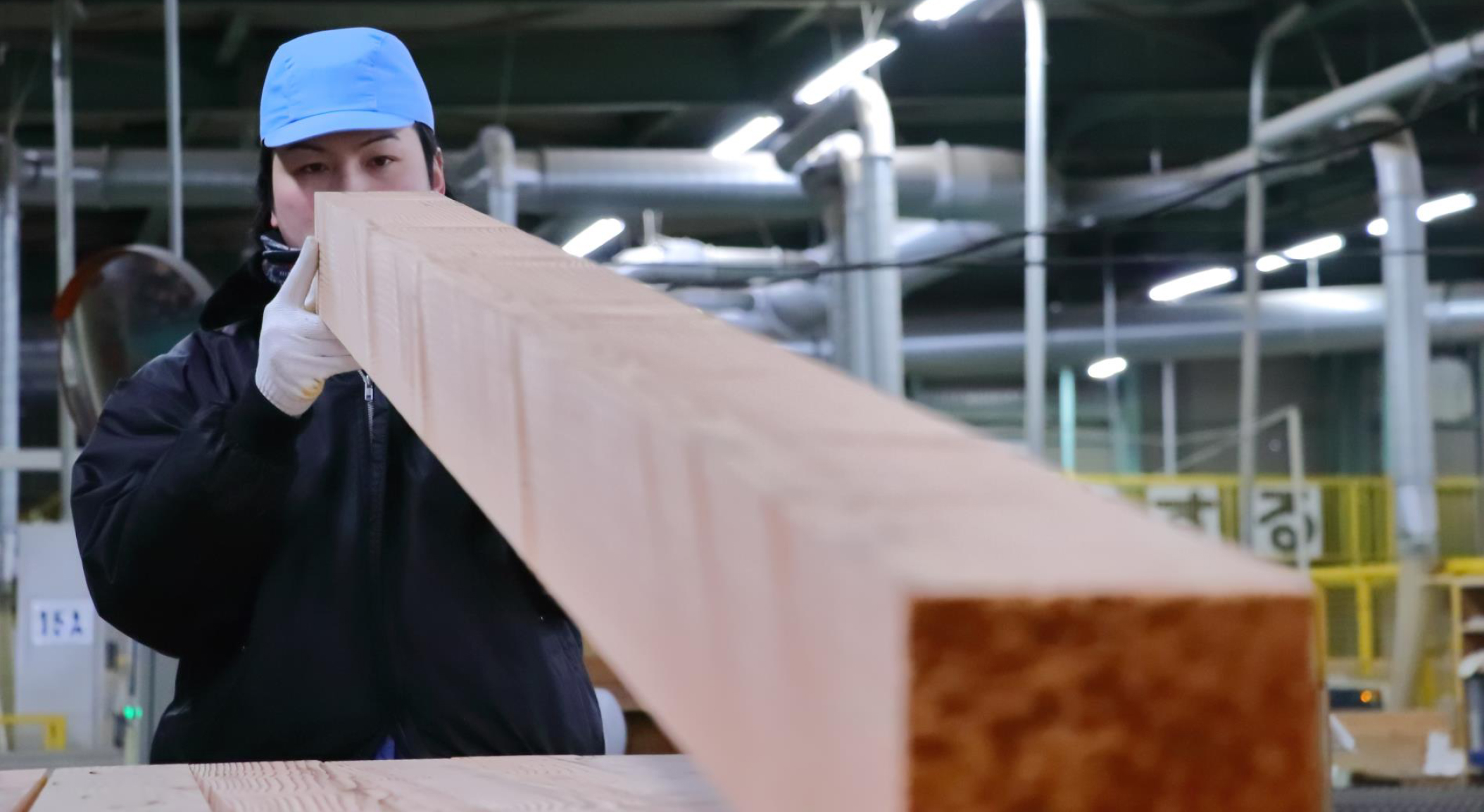 採用情報